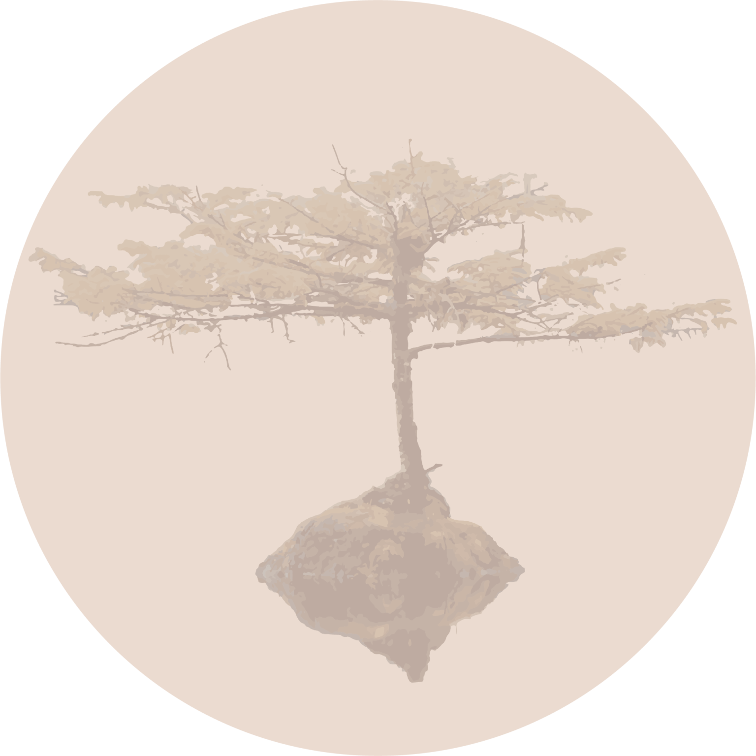 Árbol Acierta