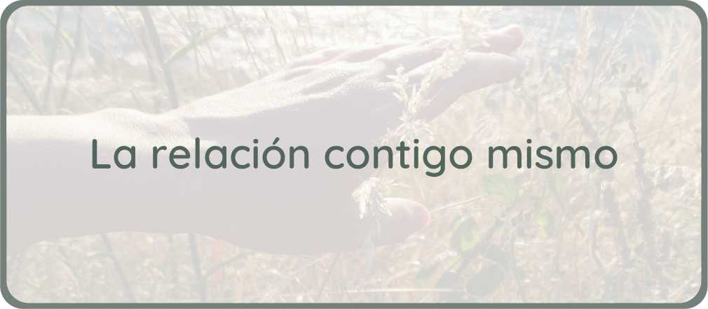 Relación contigo